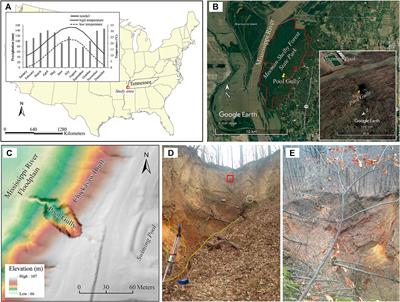 Quantifying Short-Term Erosion and Deposition in an Active Gully Using Terrestrial Laser Scanning: A Case Study From West Tennessee, USA